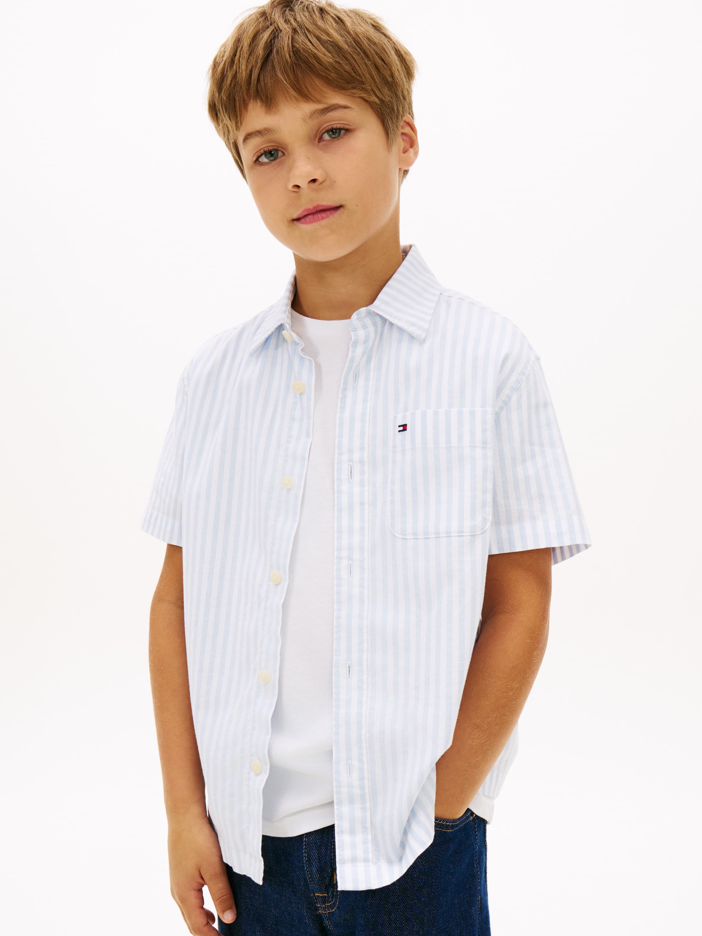 Ithaca Stripe Short Sleeve Oxford Shirt
